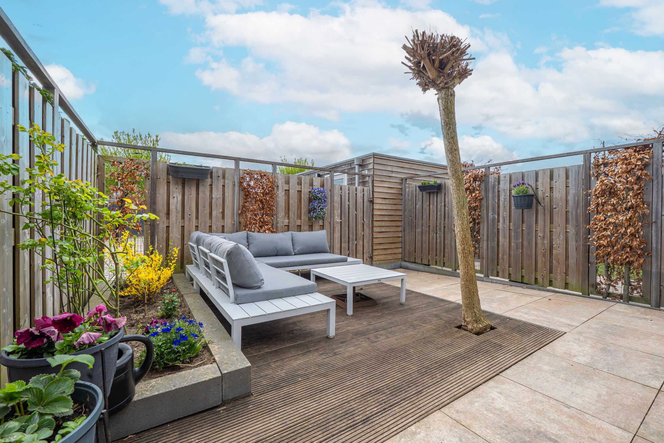 Photo 30 of Grote Parelmoervlinder 6