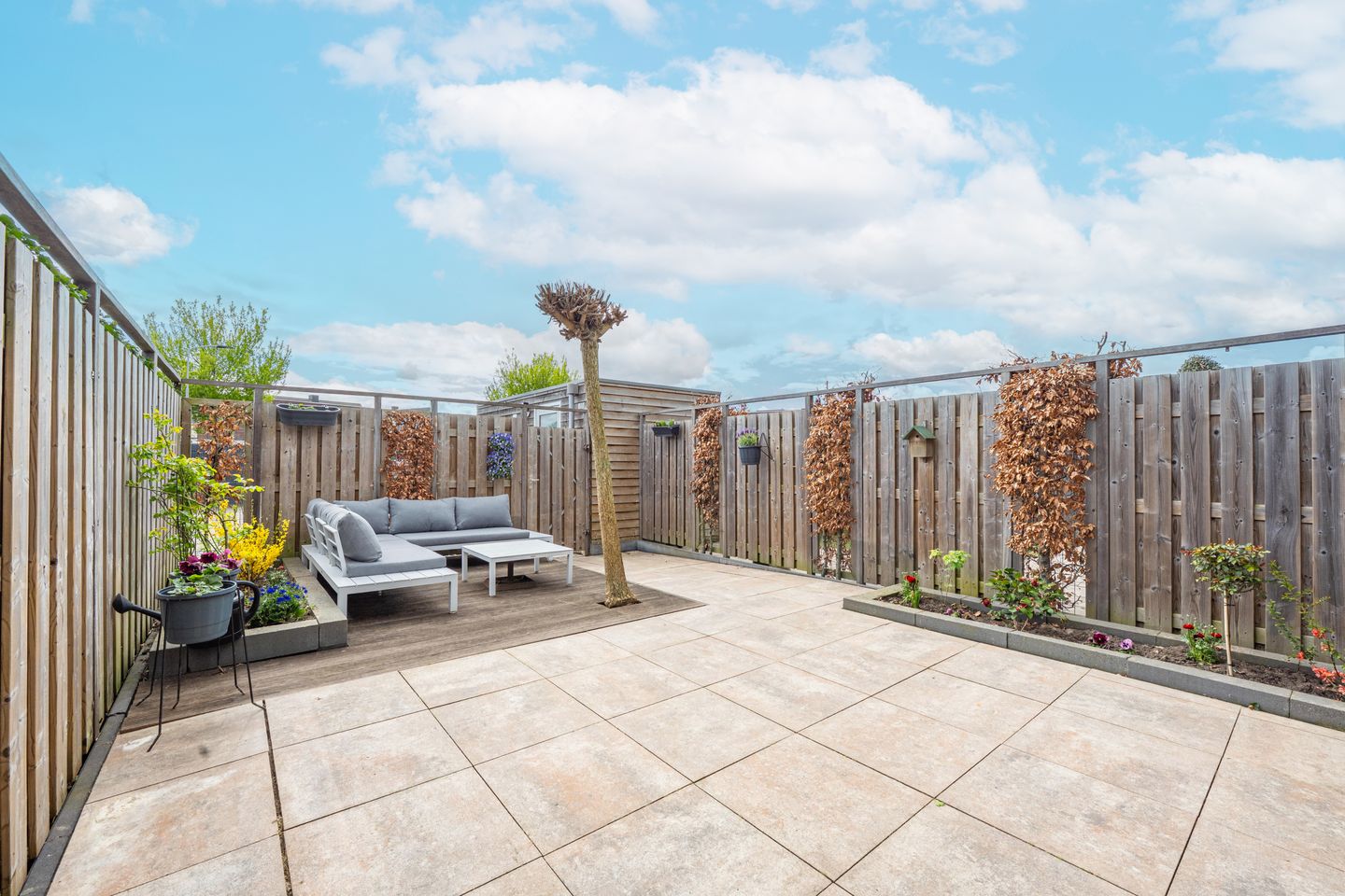 Photo 25 of Grote Parelmoervlinder 6