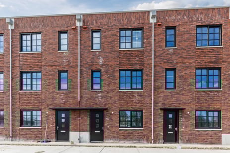 Olifantoortje thumbnail