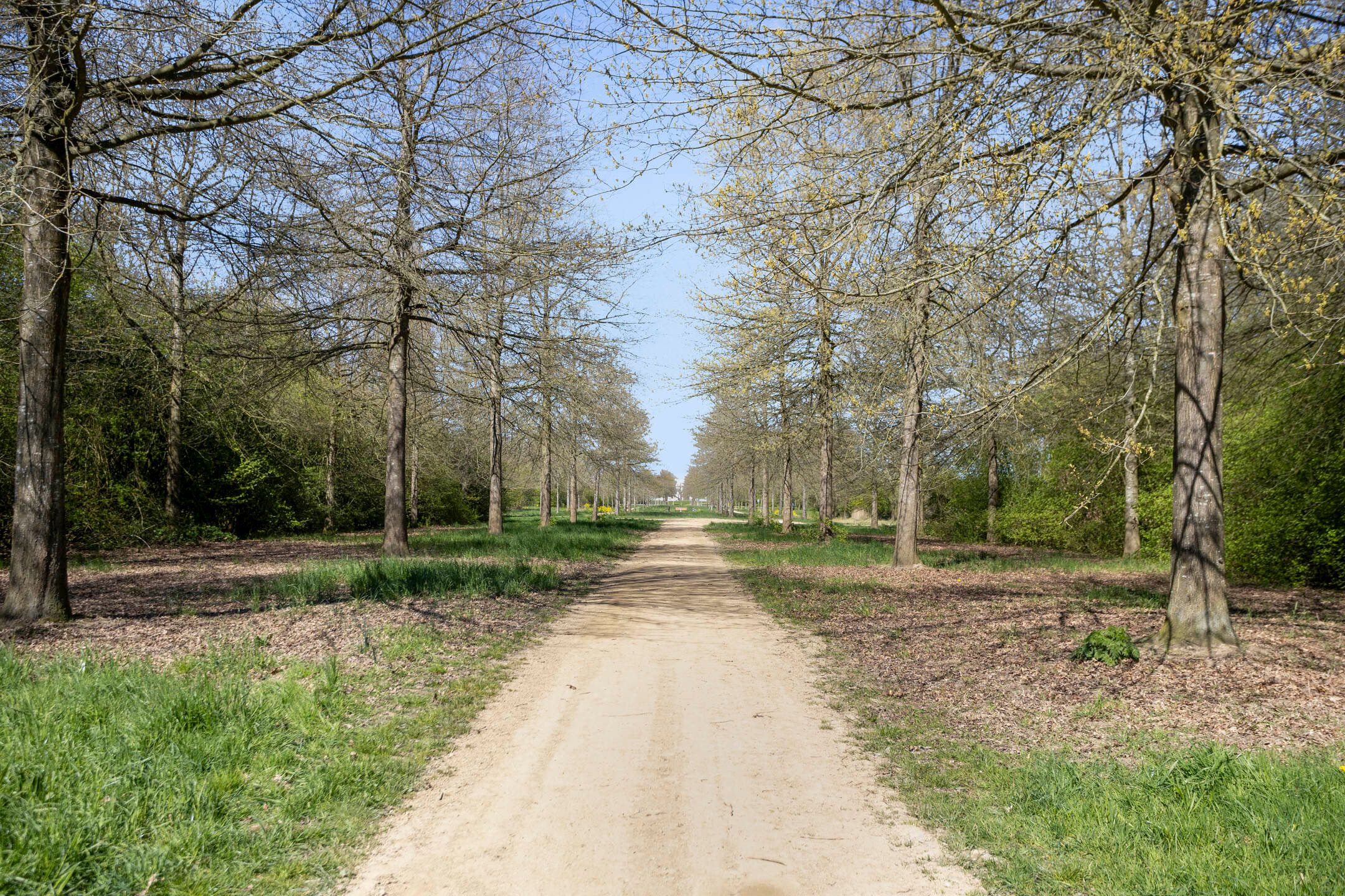 Foto 45 van Velderwoude 35