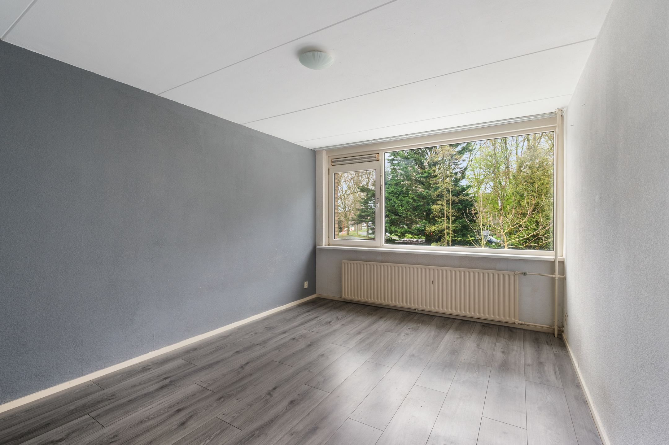 Foto 18 van Gelebrem 43