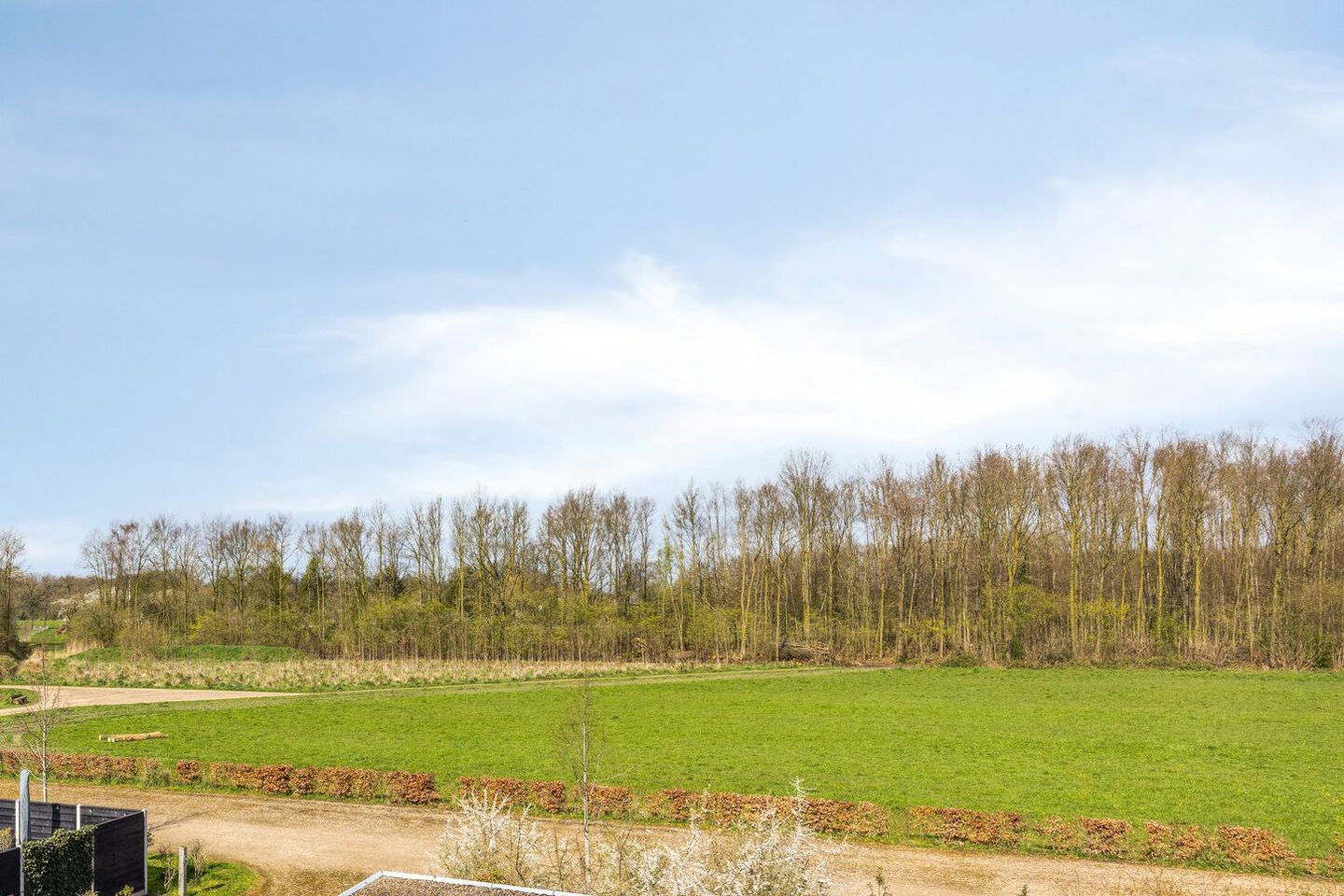 Foto 44 van Dr. A.R. Holstraat 42