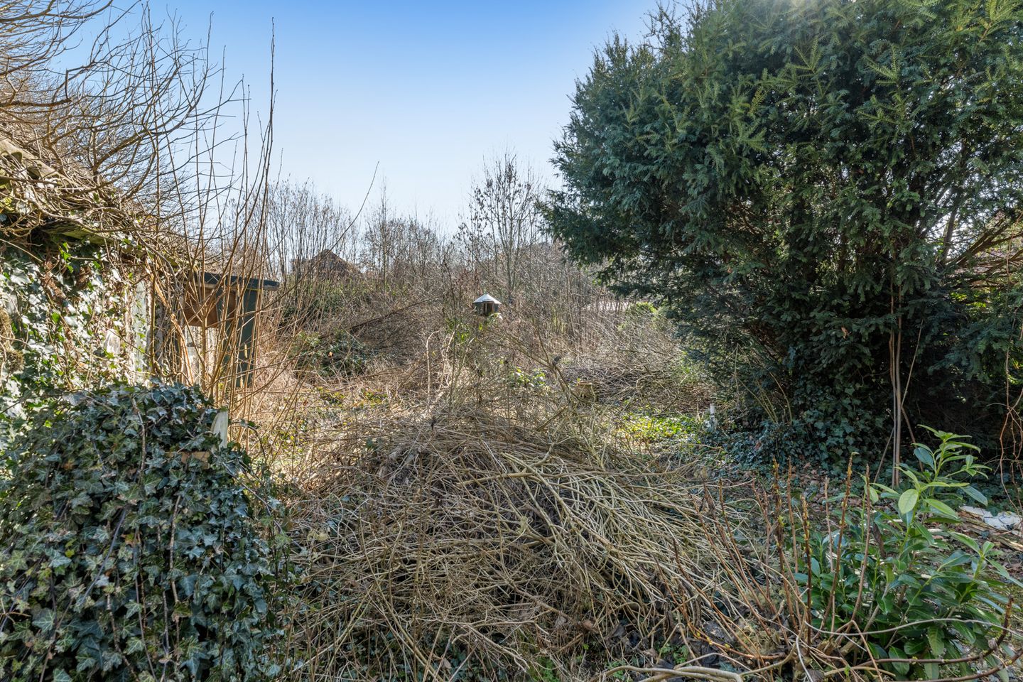 Foto 29 van Torenstraat 120