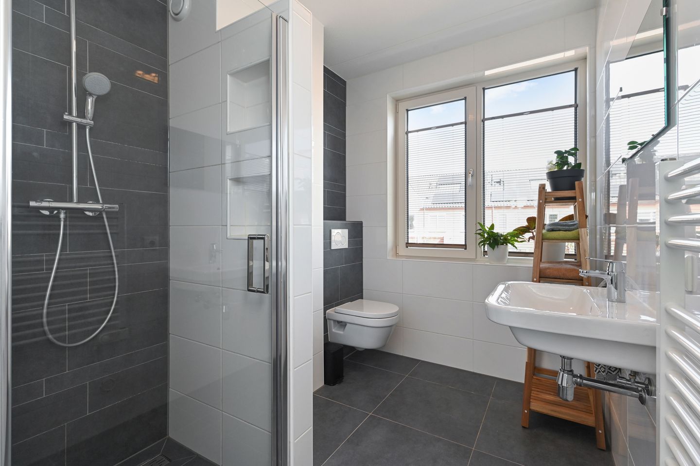 Foto 4 van Boomkruiperzoom 8