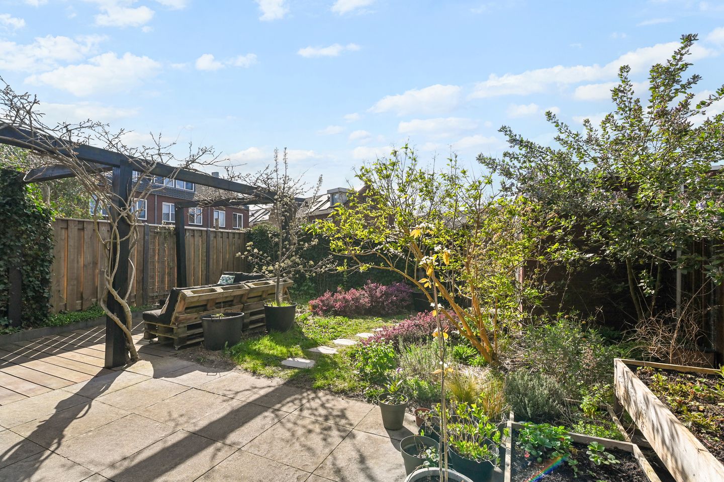 Foto 5 van Boomkruiperzoom 8