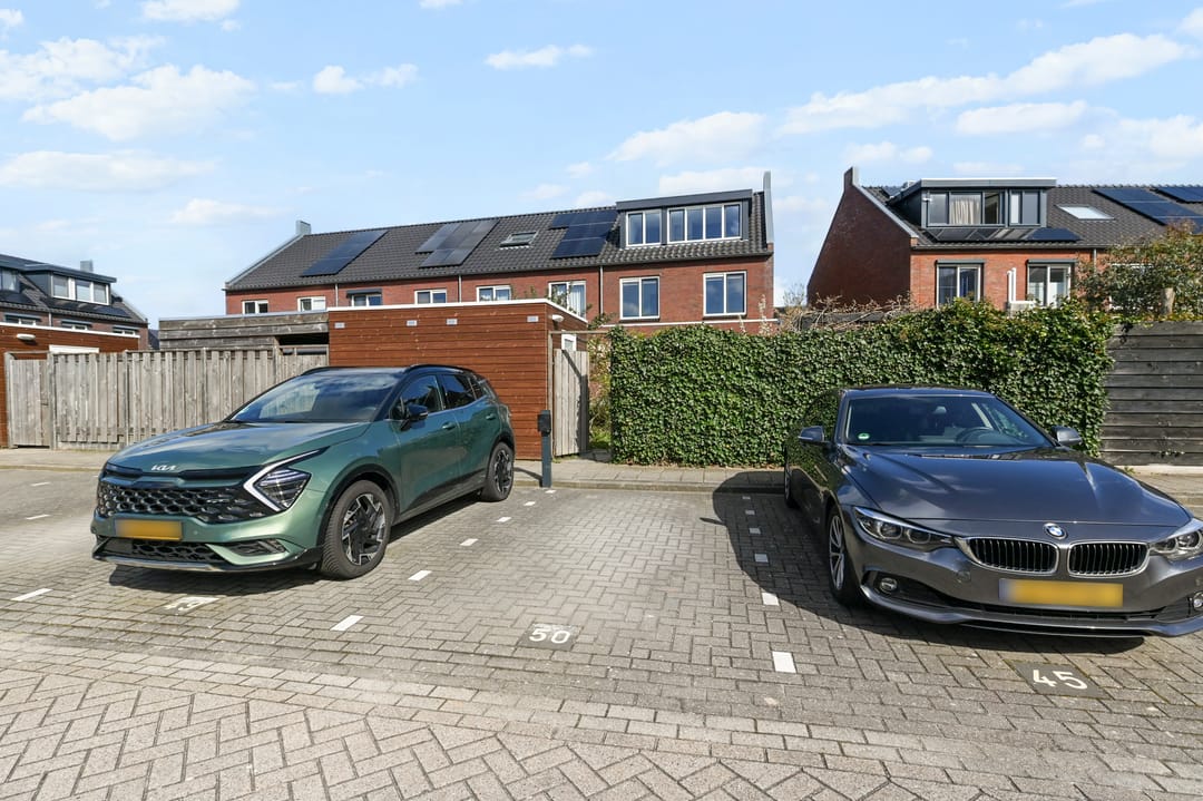 Foto 17 van Boomkruiperzoom 8