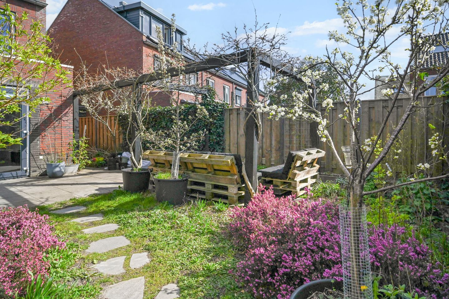 Foto 19 van Boomkruiperzoom 8