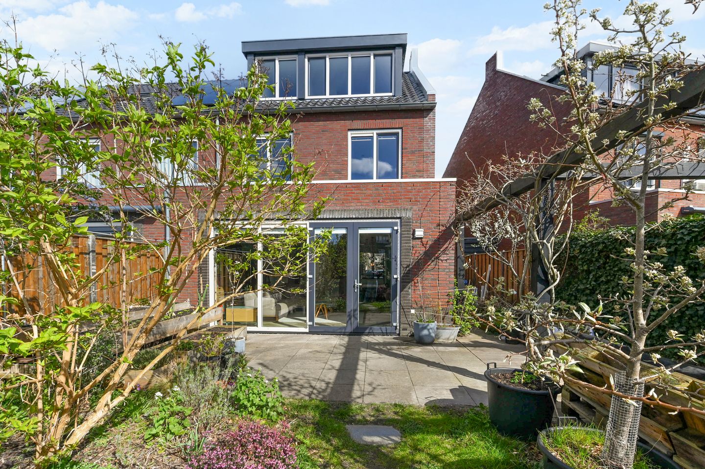 Foto 20 van Boomkruiperzoom 8