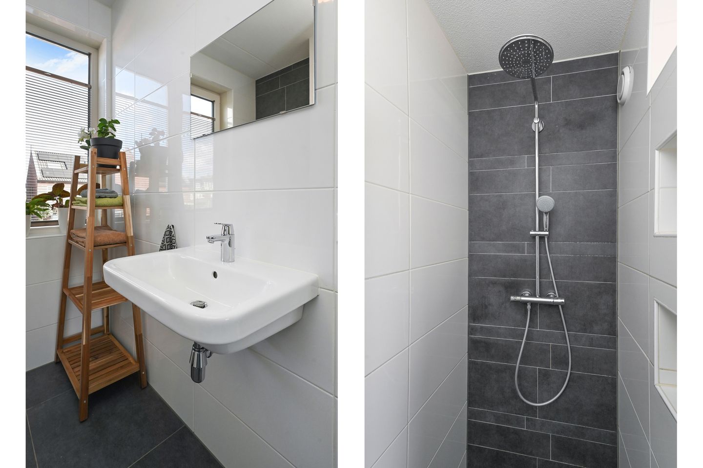 Foto 34 van Boomkruiperzoom 8