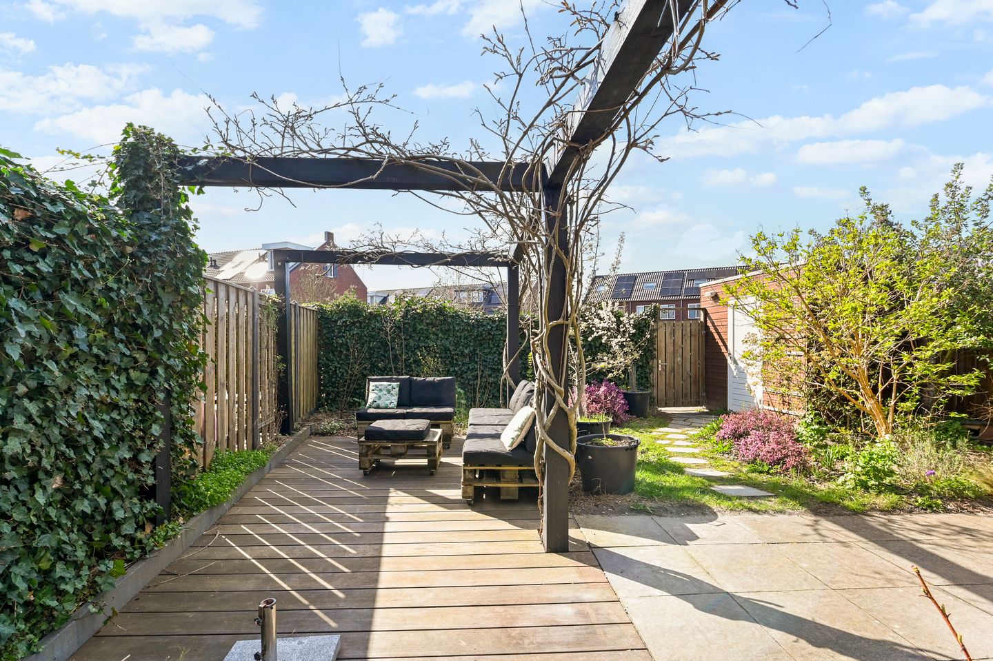 Foto 14 van Boomkruiperzoom 8