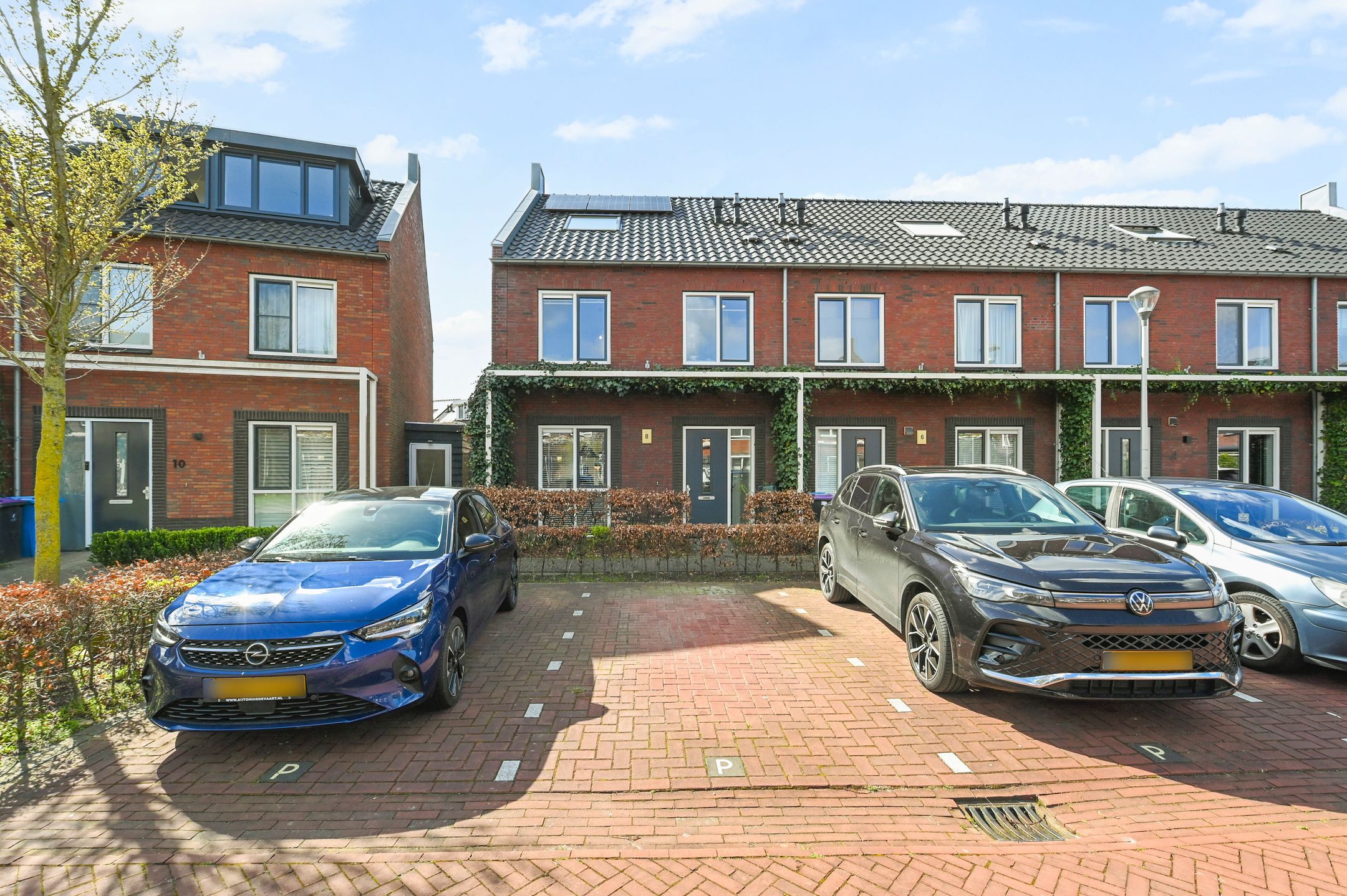 Foto 6 van Boomkruiperzoom 8