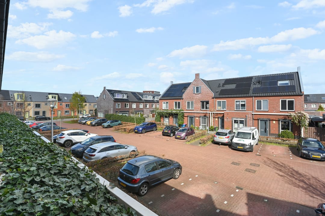 Foto 31 van Boomkruiperzoom 8