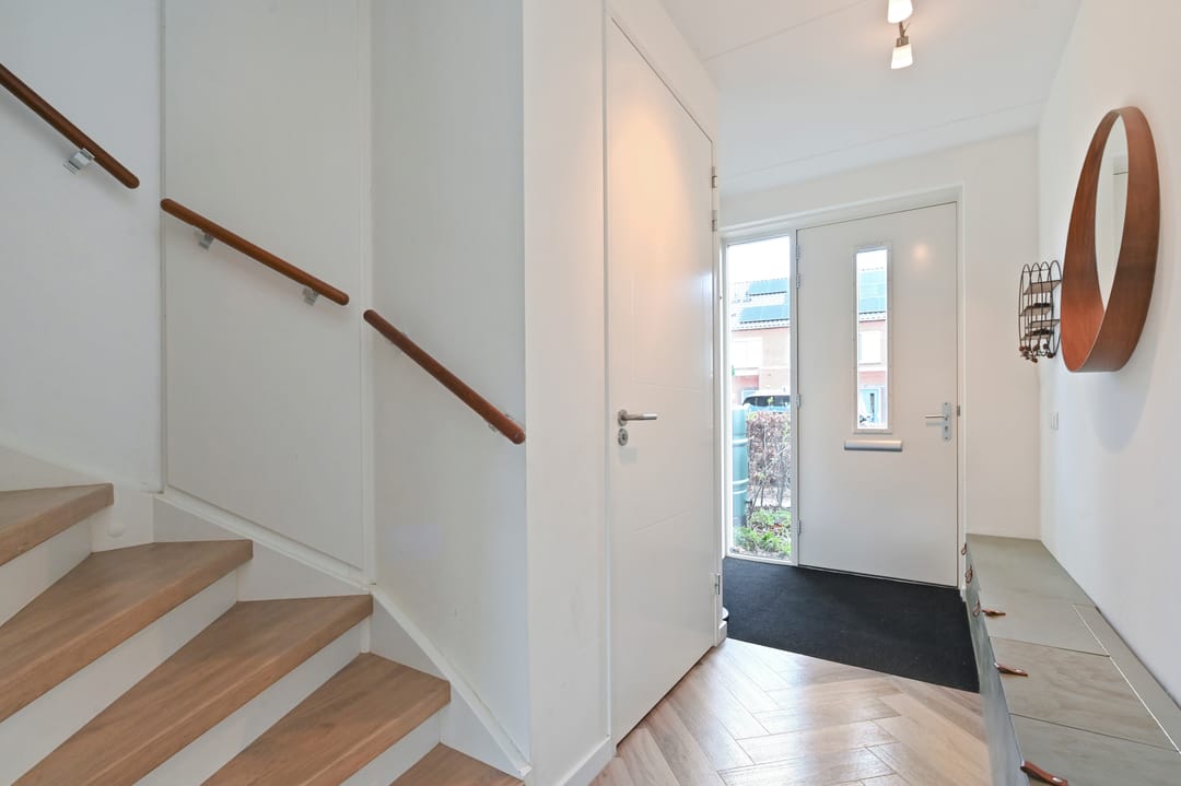 Foto 8 van Boomkruiperzoom 8