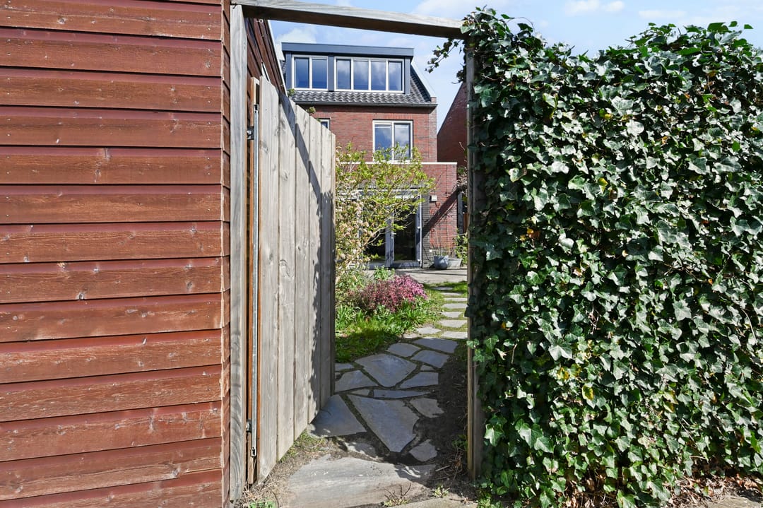 Foto 16 van Boomkruiperzoom 8