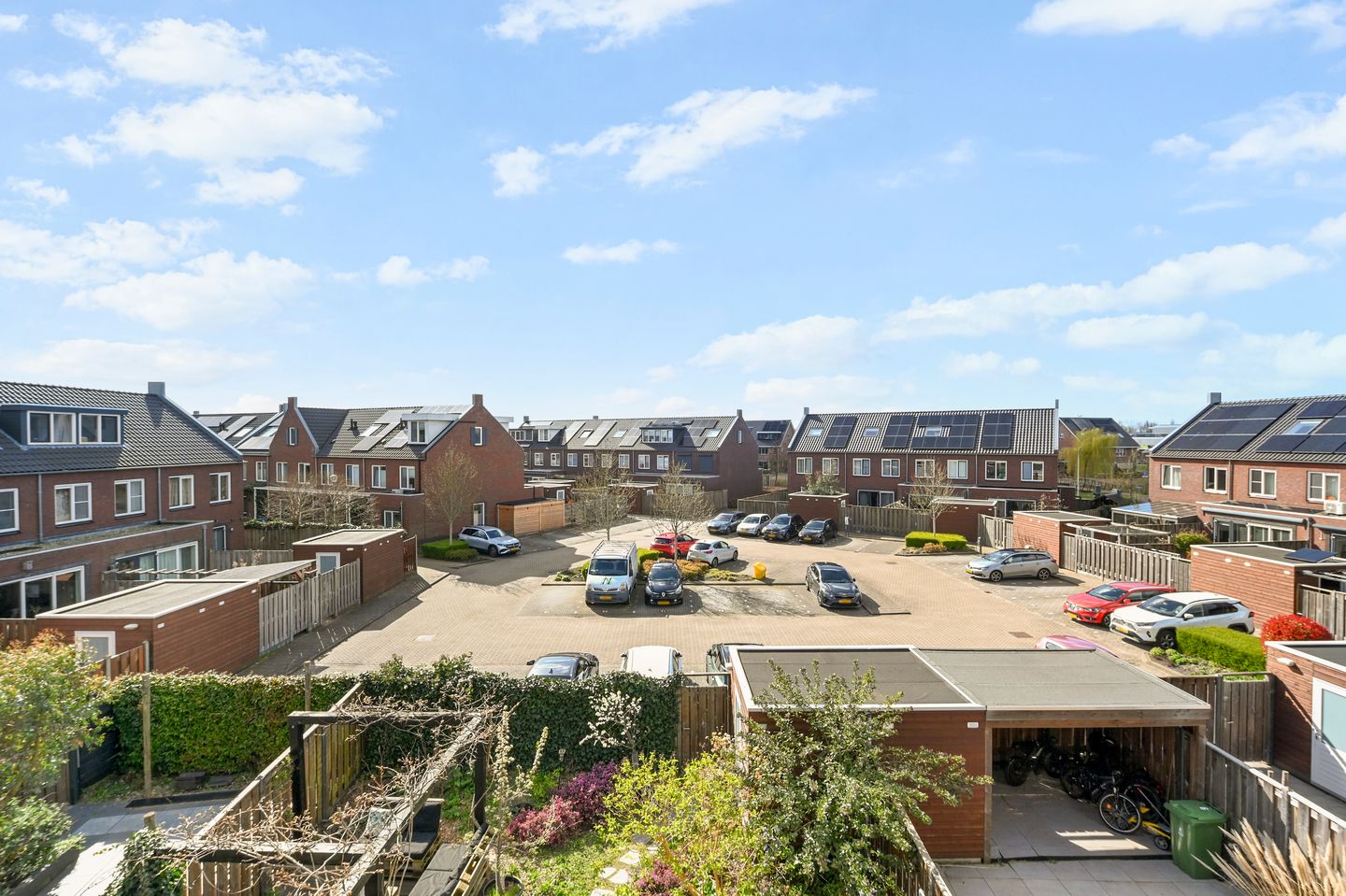 Foto 44 van Boomkruiperzoom 8