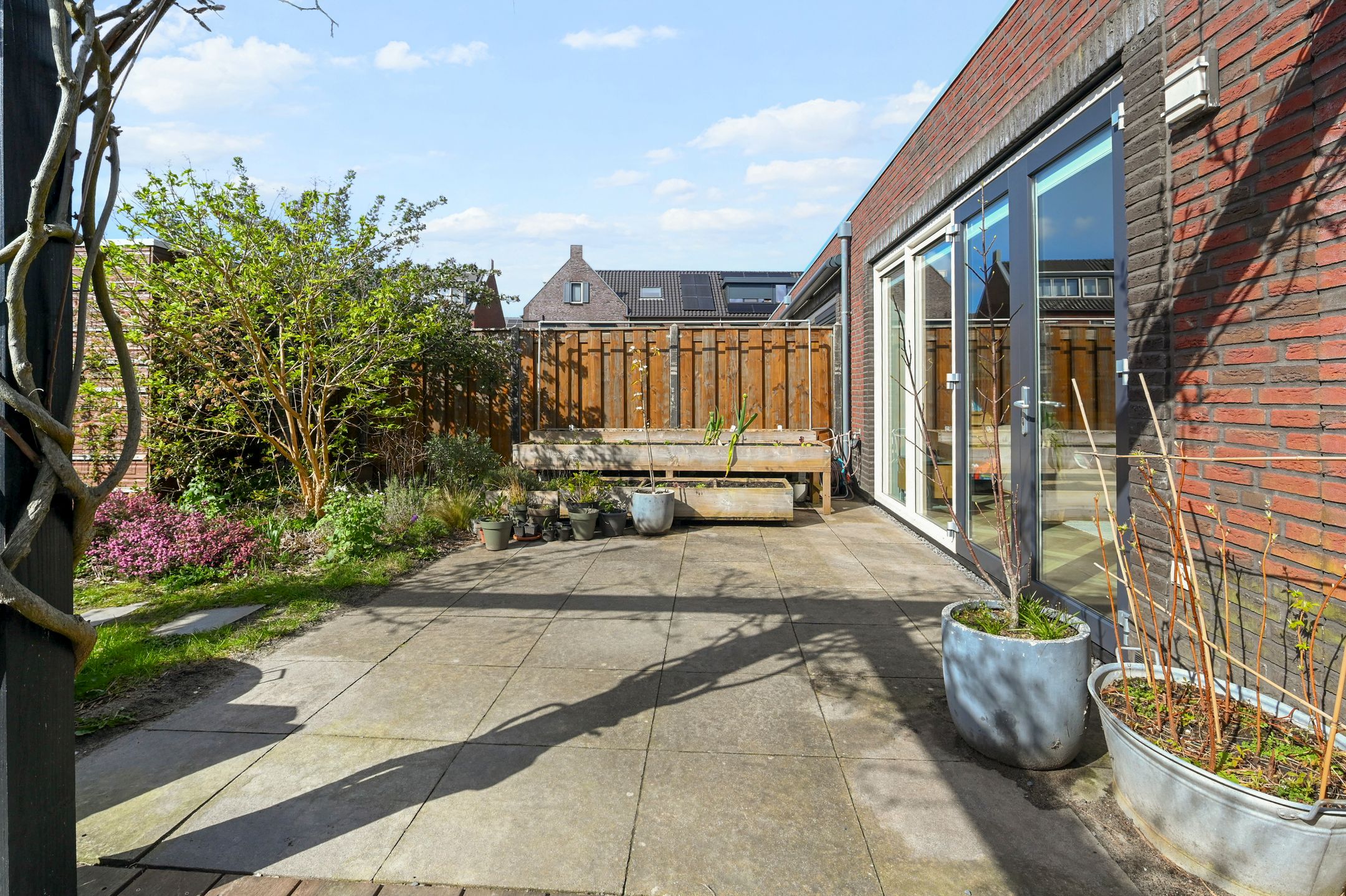 Foto 21 van Boomkruiperzoom 8