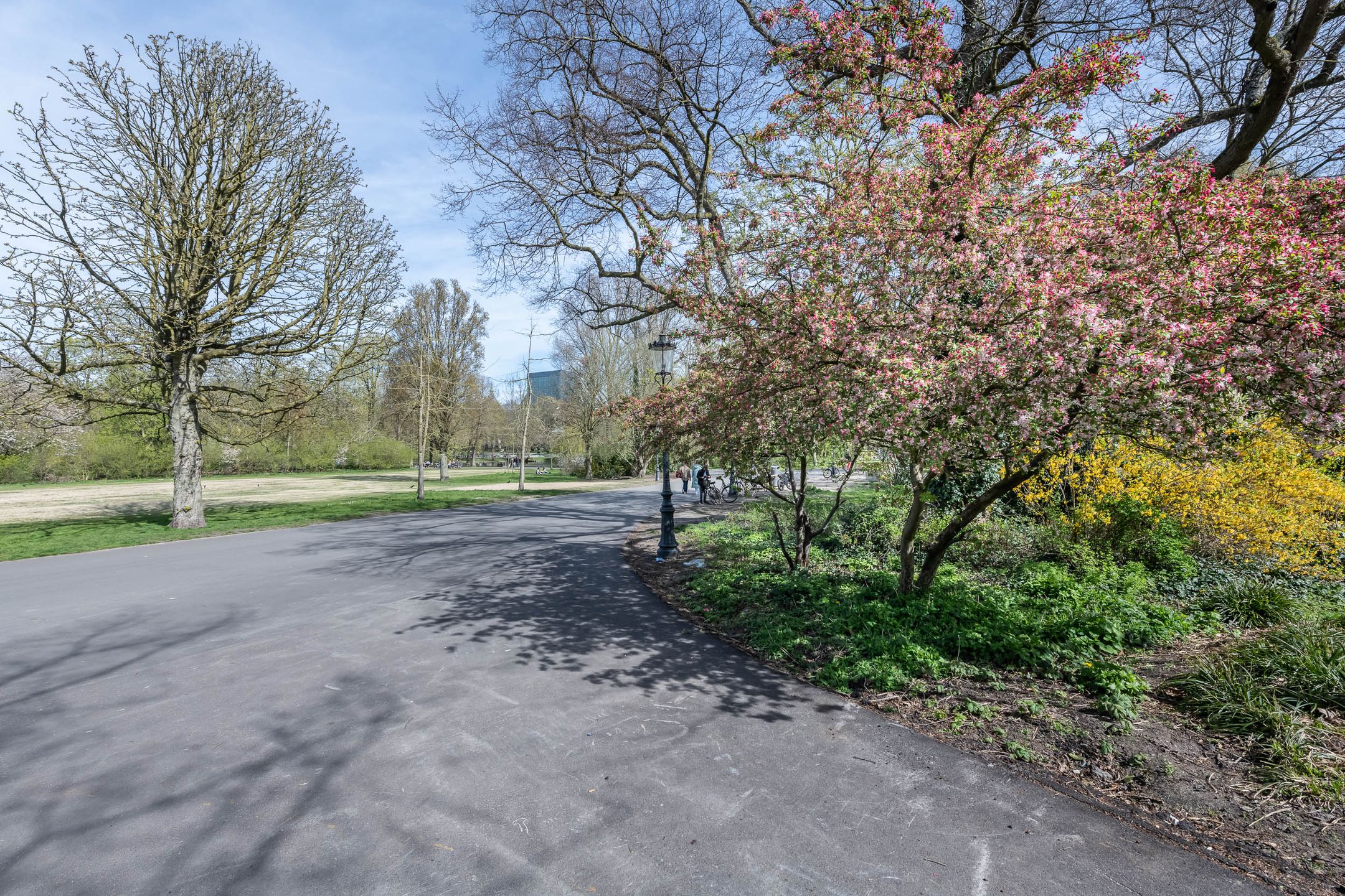 Photo 51 of Eikenweg 6-E