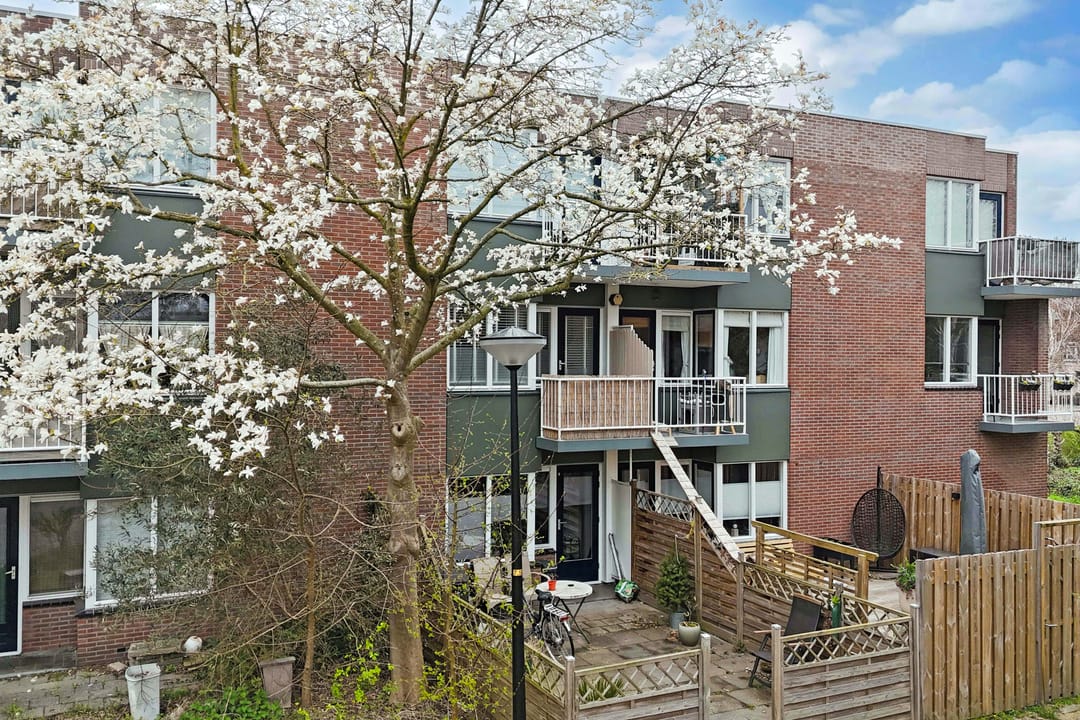 Photo 7 of van Borsselestraat 19