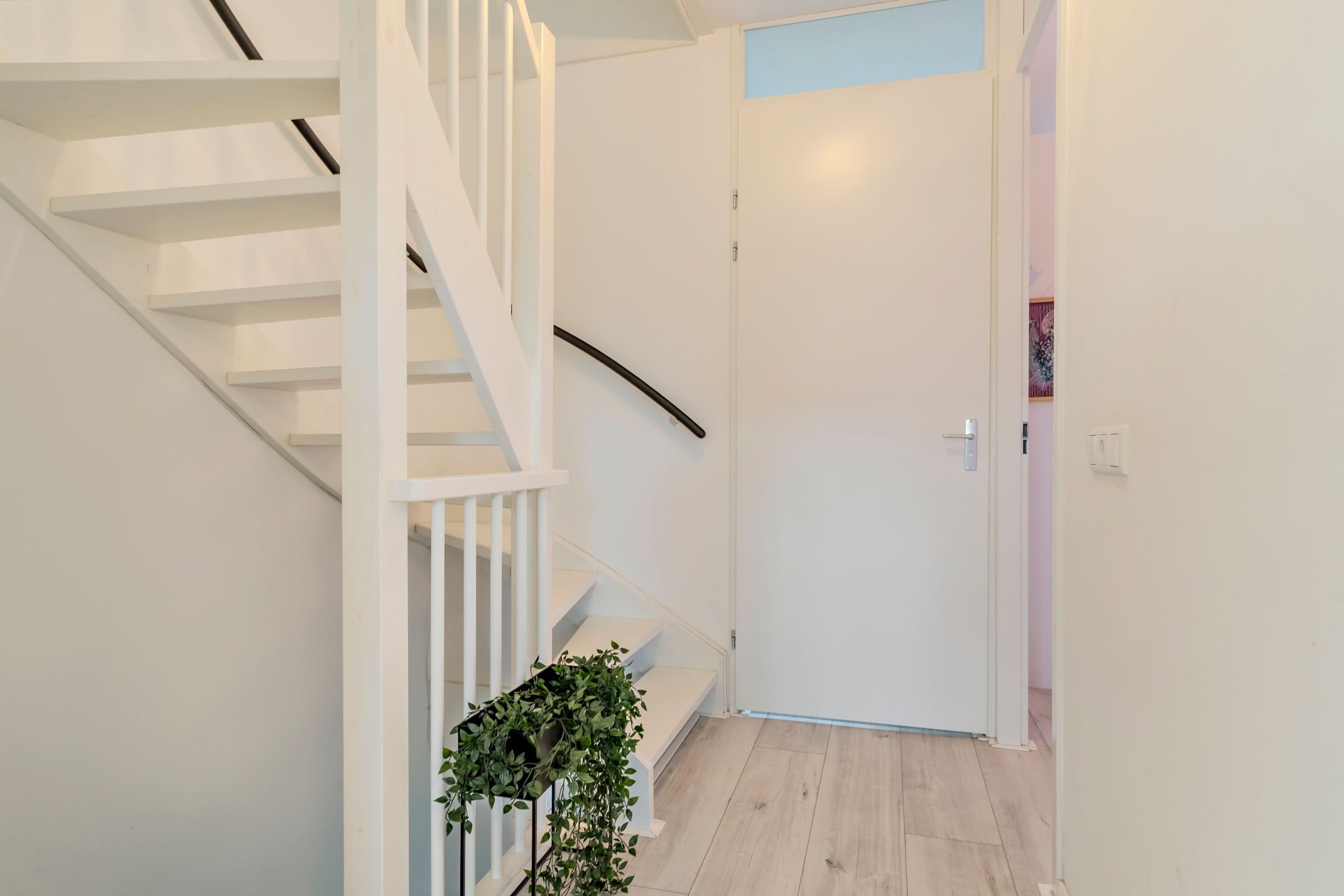 Foto 9 van Fluitenkruid 7