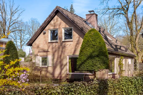 Rhienderstein 15 secondary image