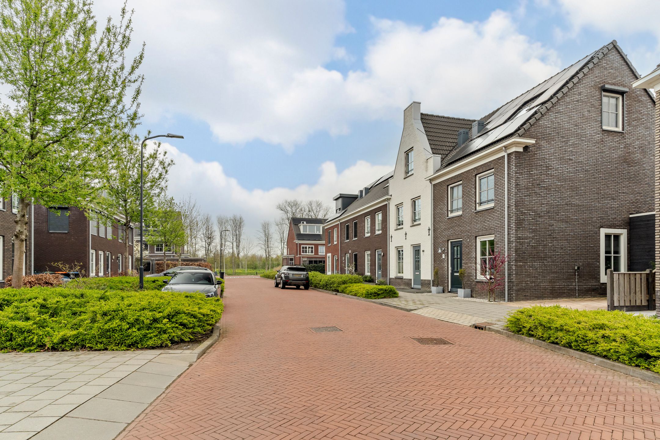 Foto 21 van Fluitenkruid 7