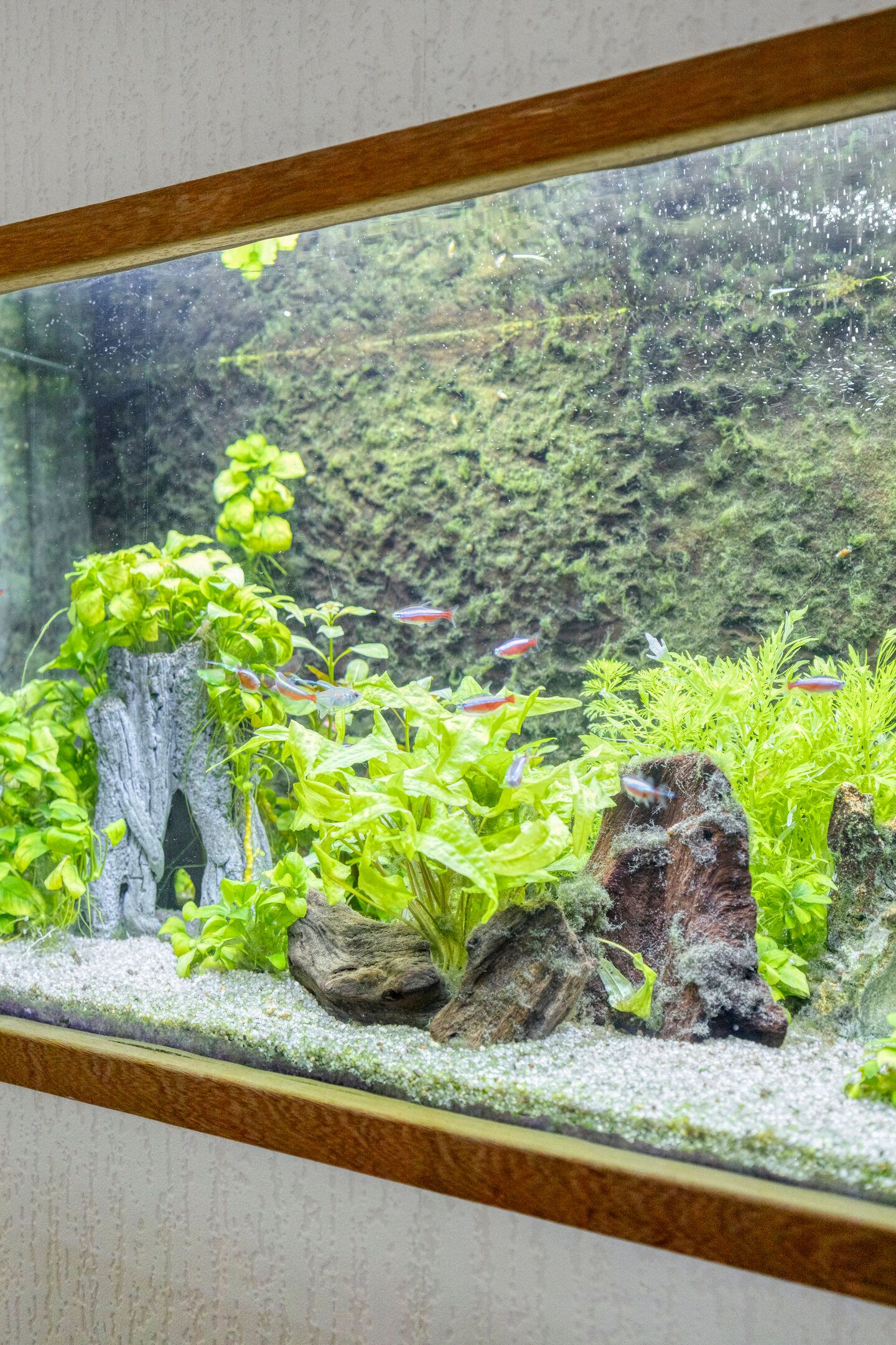 Foto 9 van Tinus Bruinrede 4