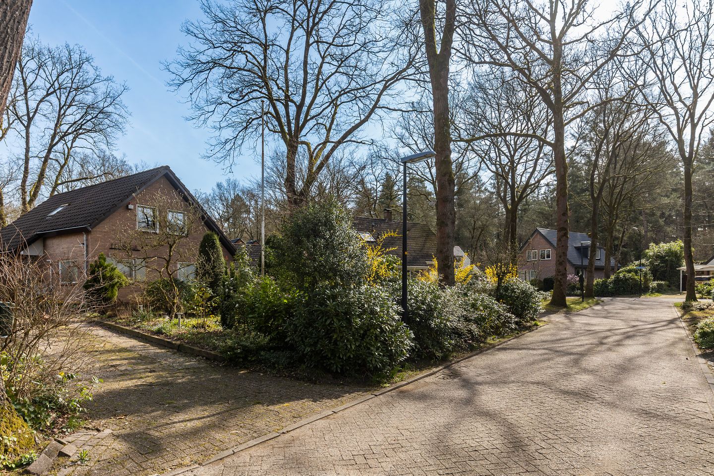 Foto 29 van Rhienderstein 15