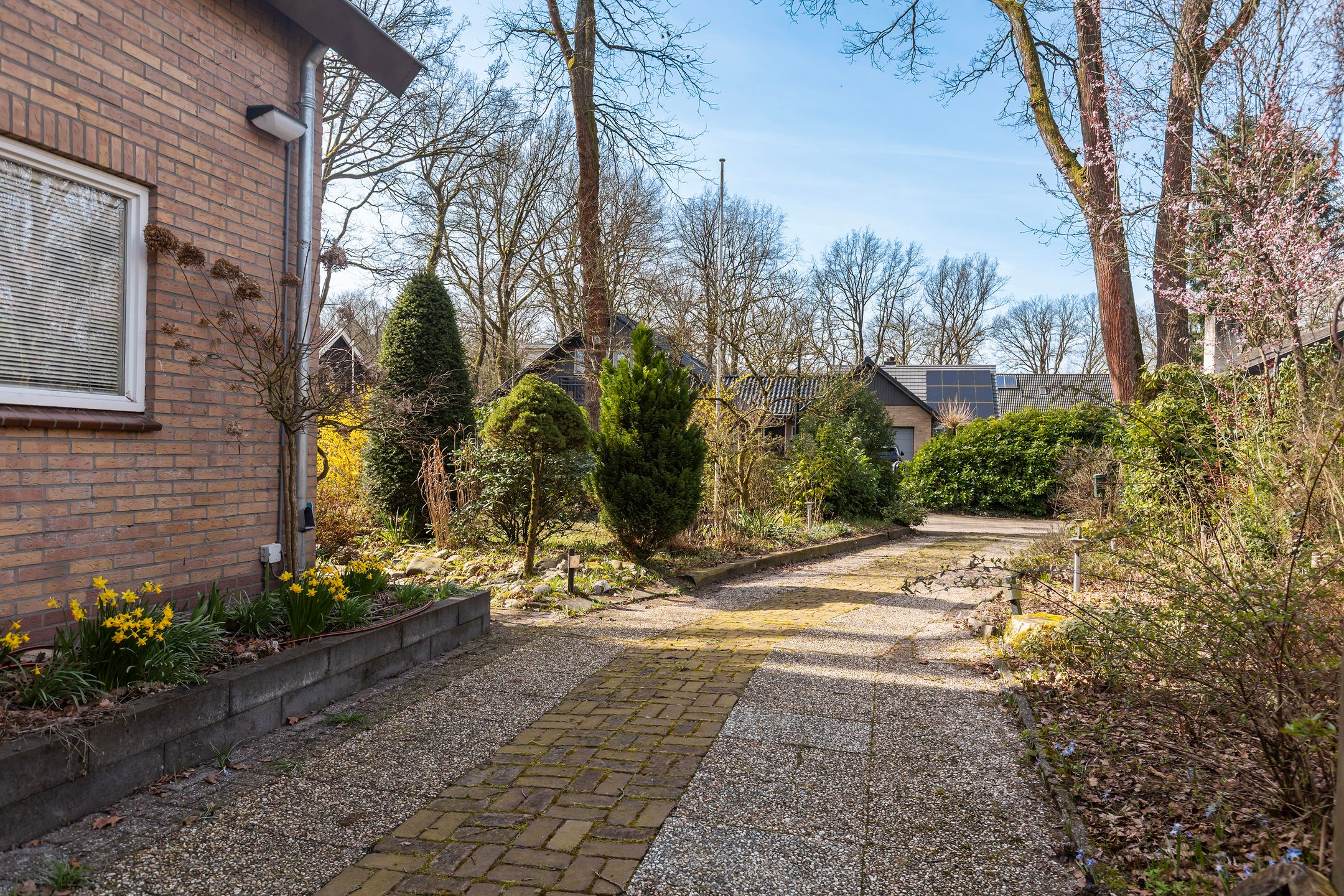 Foto 30 van Rhienderstein 15