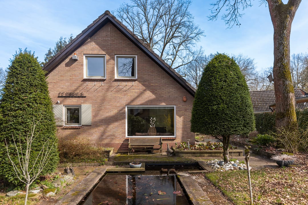 Foto 37 van Rhienderstein 15