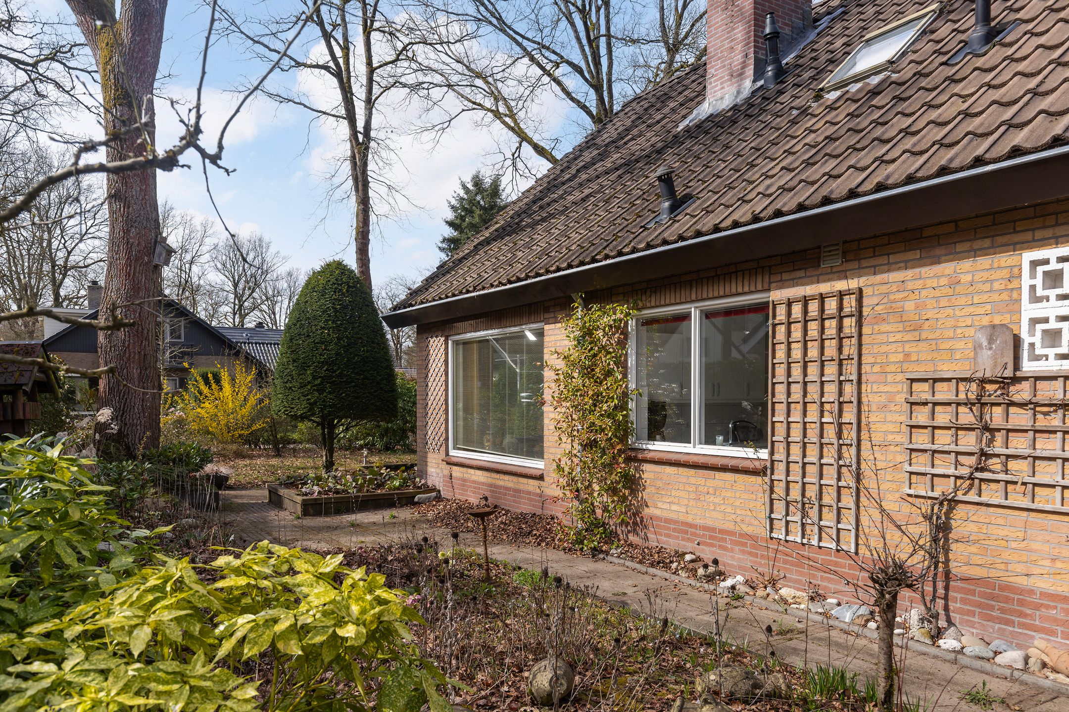 Foto 39 van Rhienderstein 15