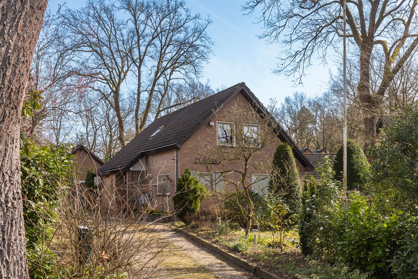 Foto 5 van Rhienderstein 15