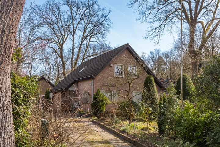 Photo 5 of Rhienderstein 15