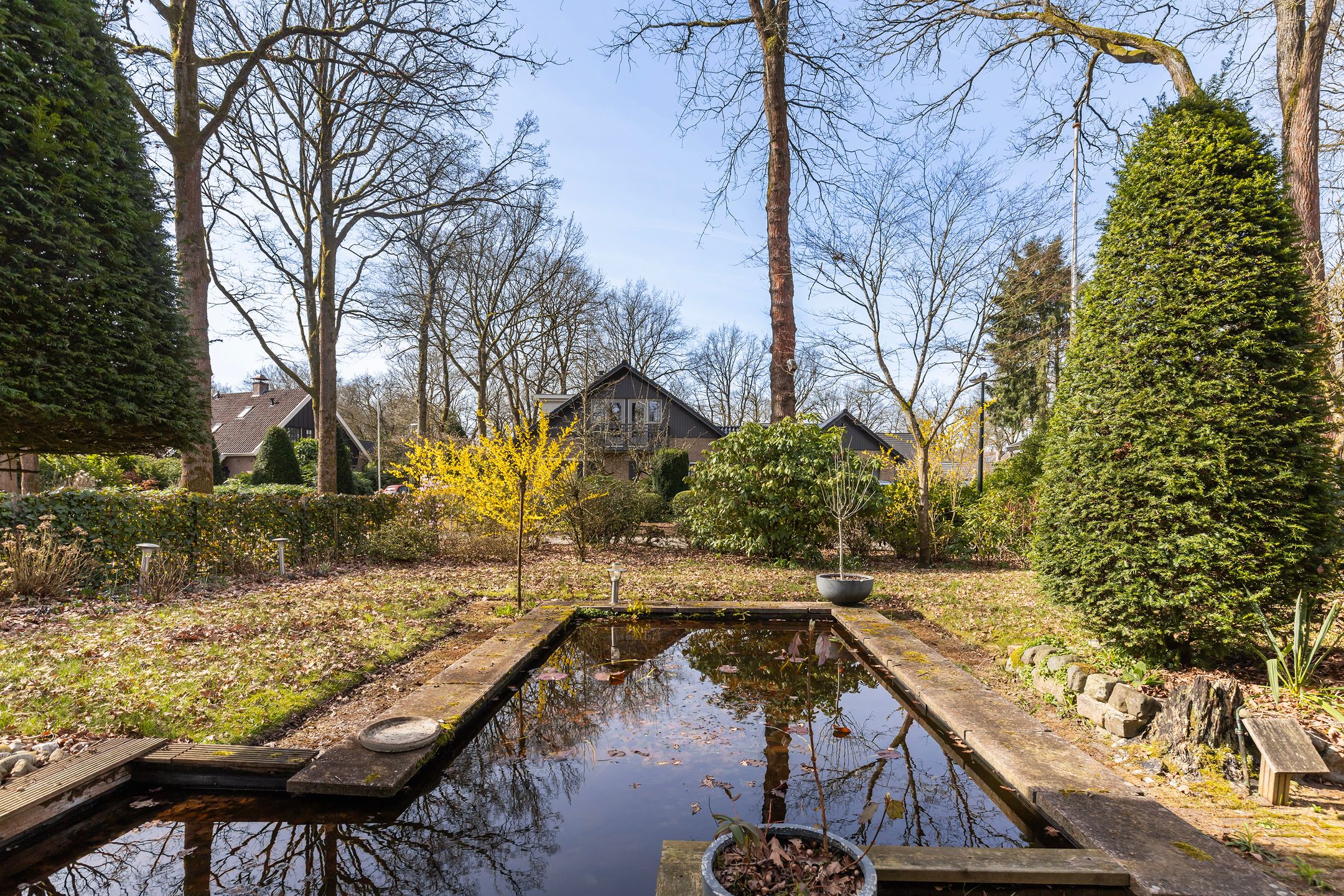 Foto 33 van Rhienderstein 15