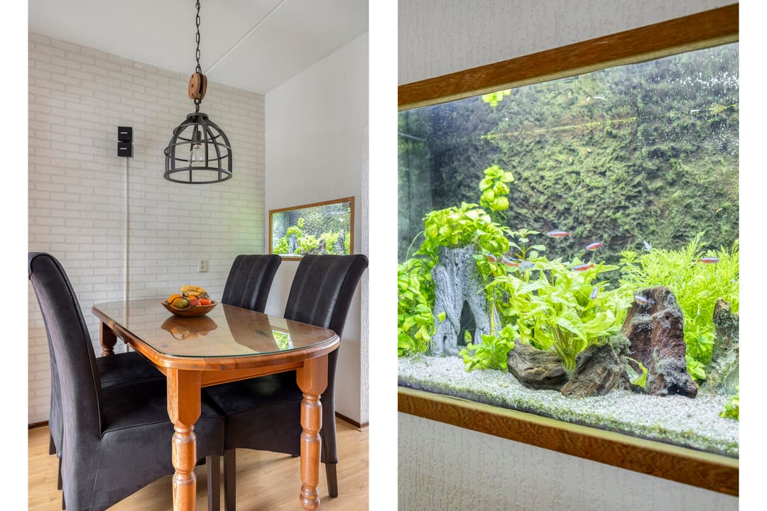 Foto 7 van Tinus Bruinrede 4