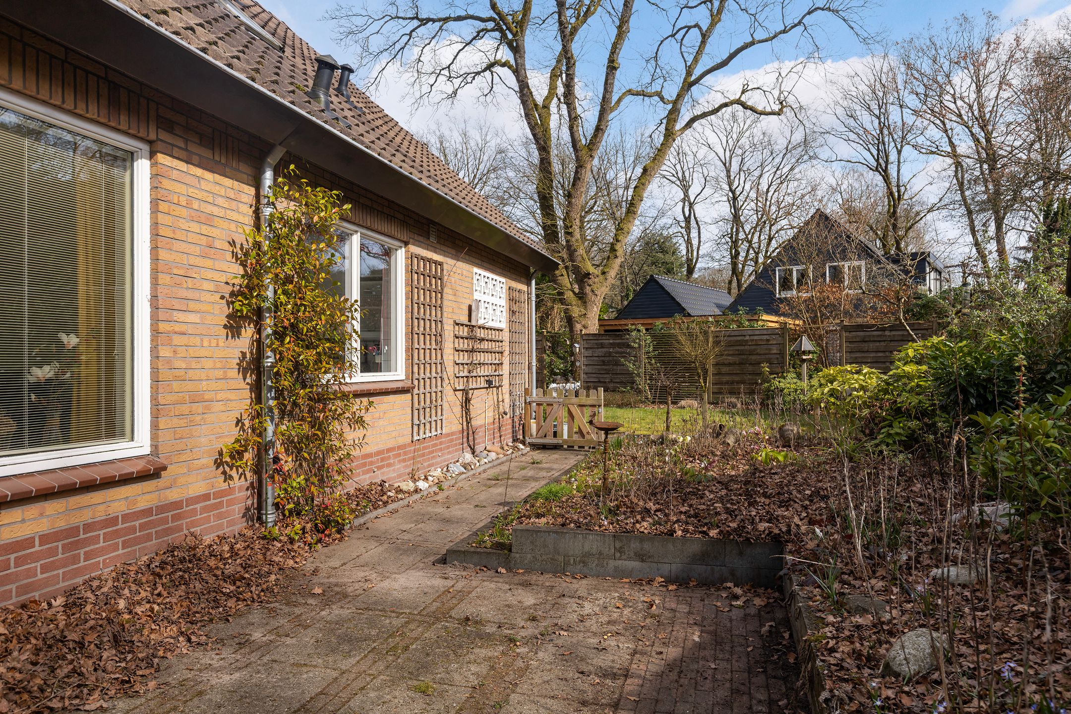 Foto 36 van Rhienderstein 15