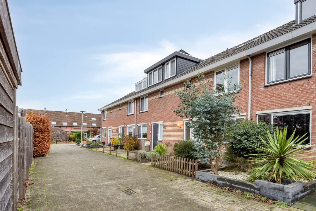 Foto 2 van Tinus Bruinrede 4