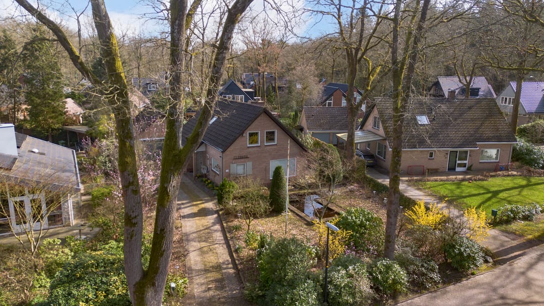 Foto 47 van Rhienderstein 15