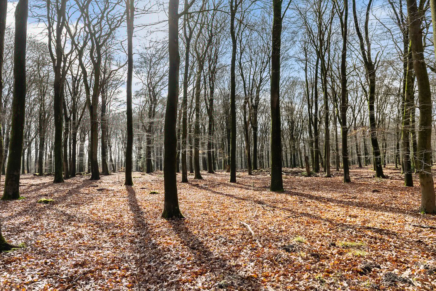 Photo 40 of Hoog Soeren 110