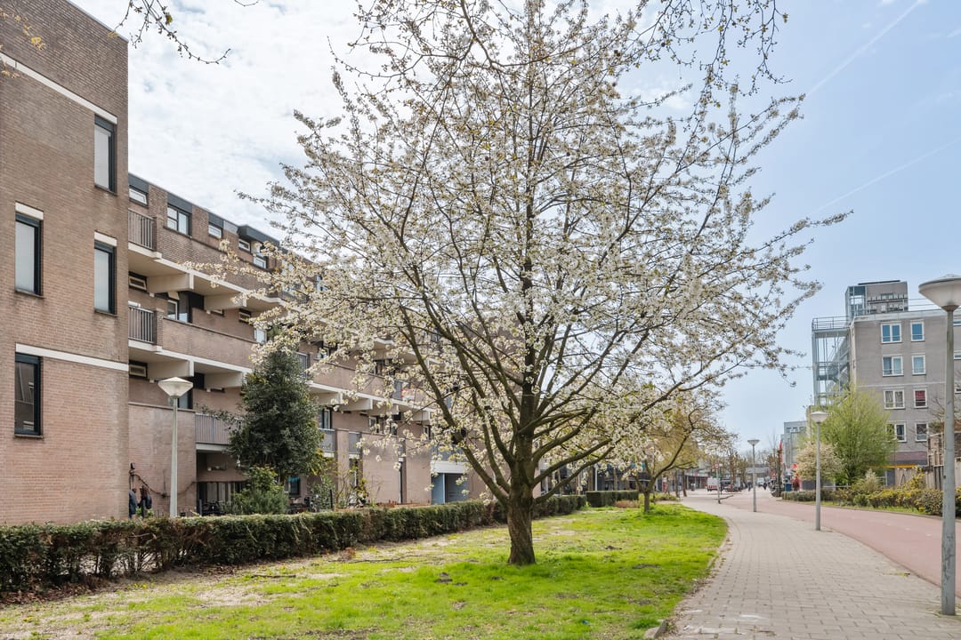 Foto 47 van Remmerdenplein 45