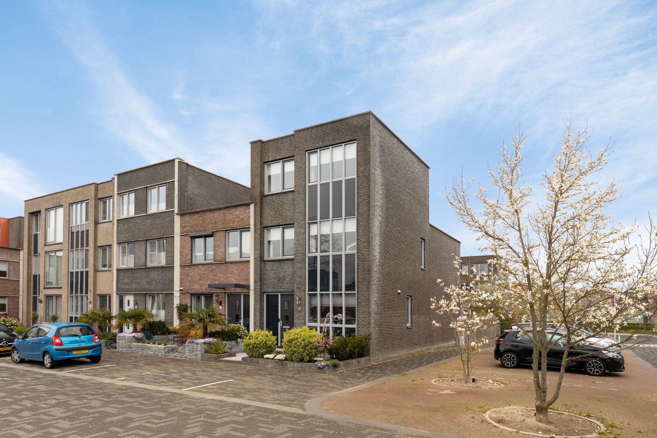 Zwanebloem 2 