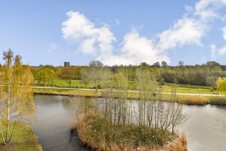 Johan de Wittstraat 185 secondary image