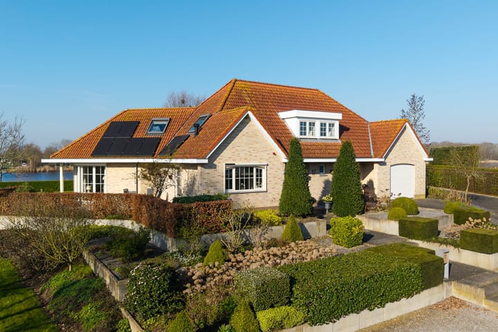 Waterhyacint 17 main image