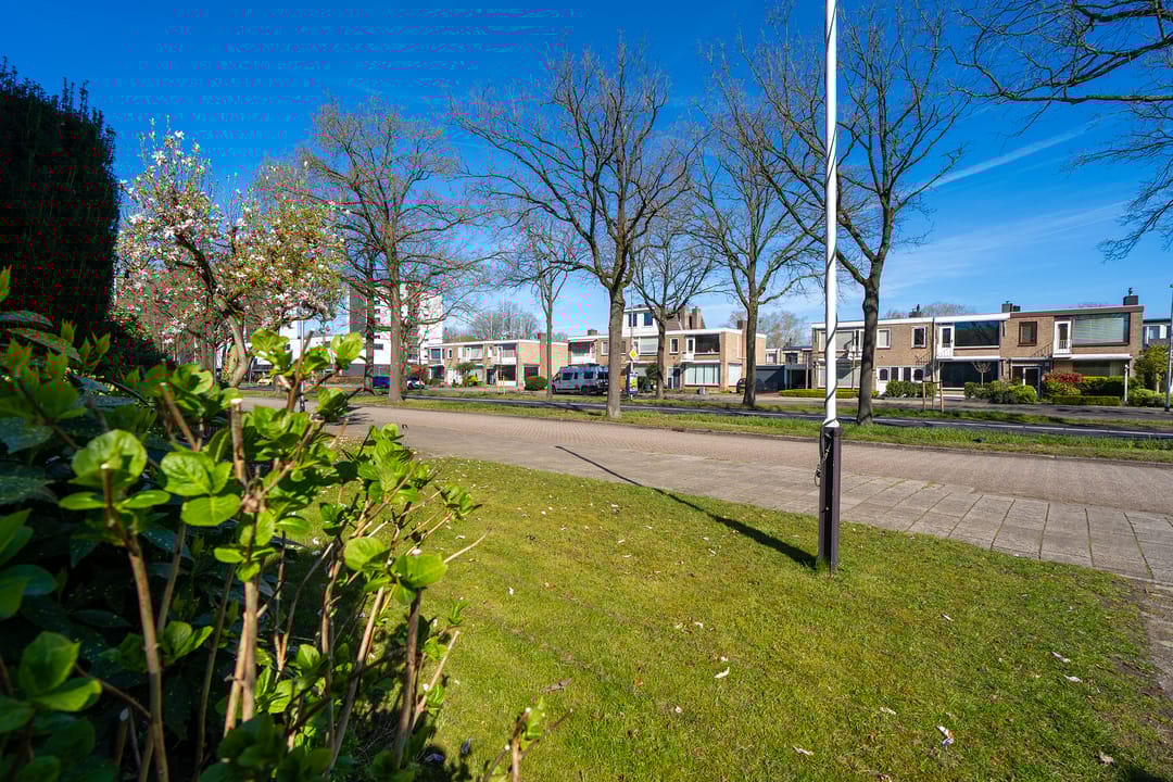 Foto 8 van Wandelboslaan 84