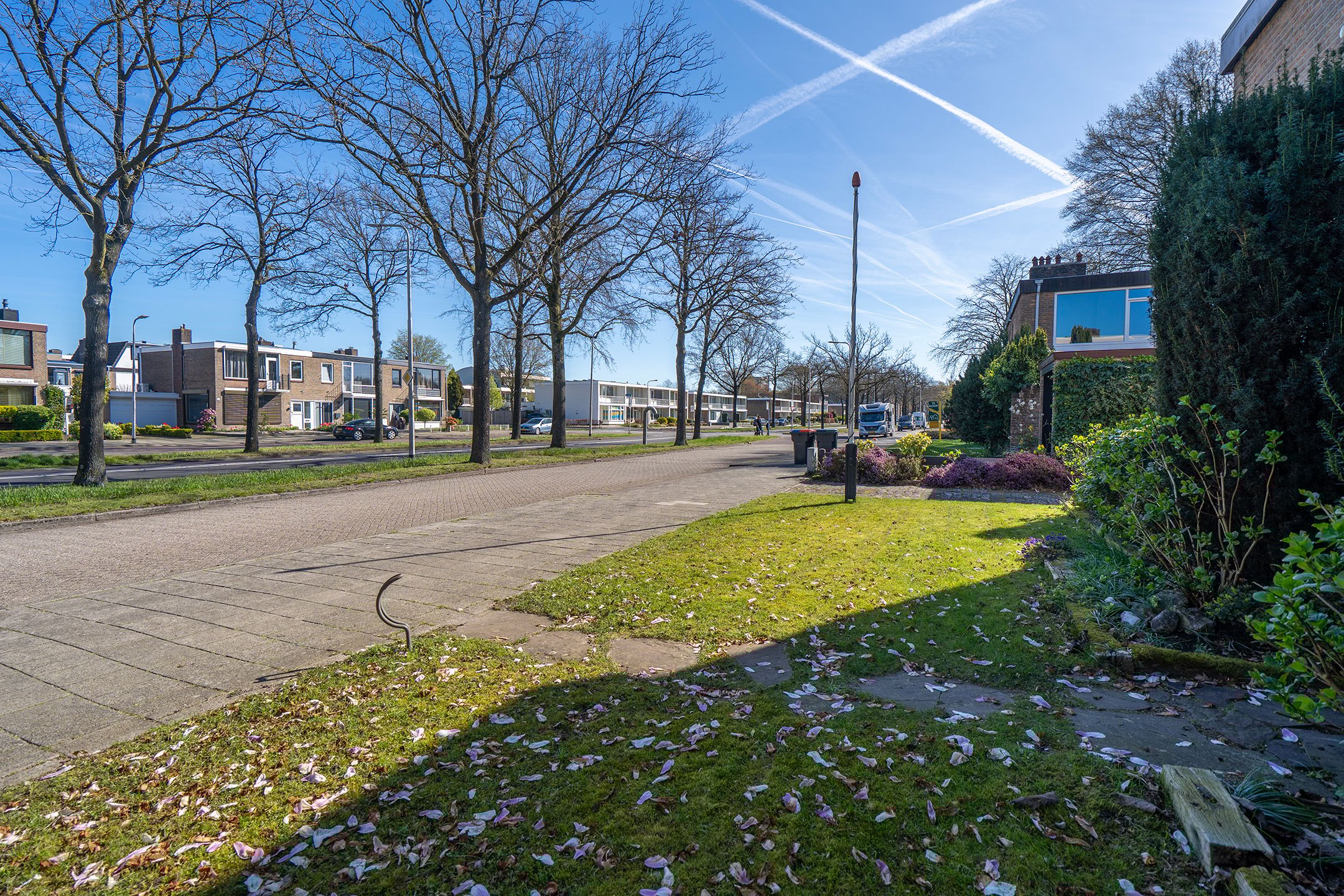 Foto 12 van Wandelboslaan 84