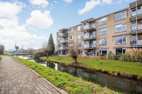 Voorwaartsveld thumbnail