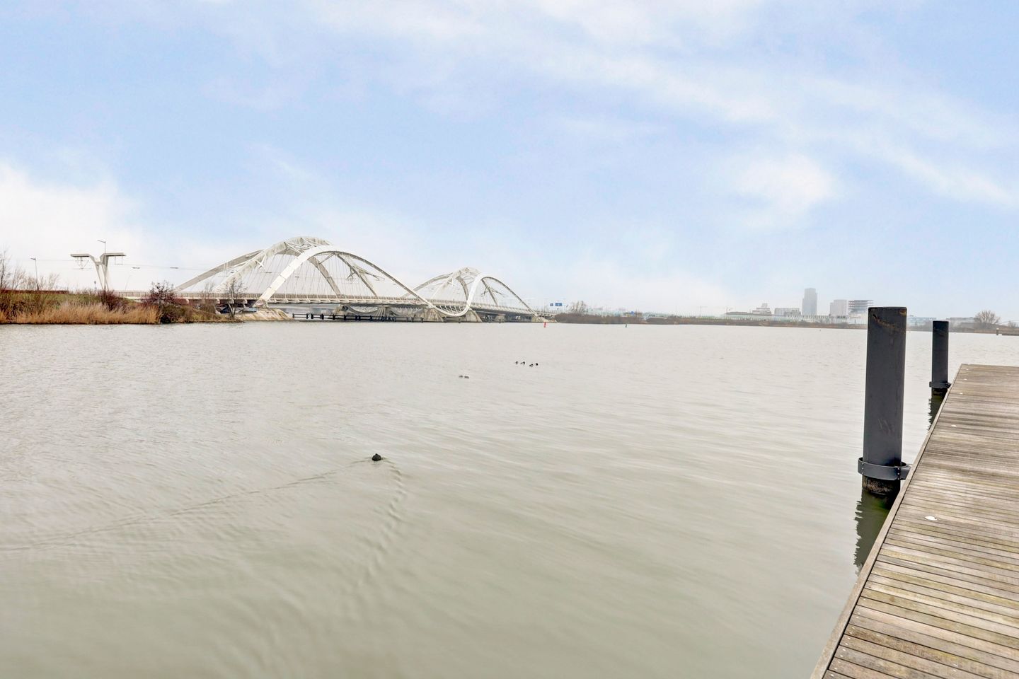 Foto 20 van Haringbuisdijk 947