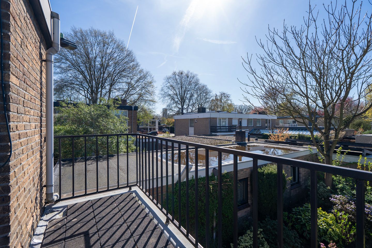 Foto 55 van Wandelboslaan 84