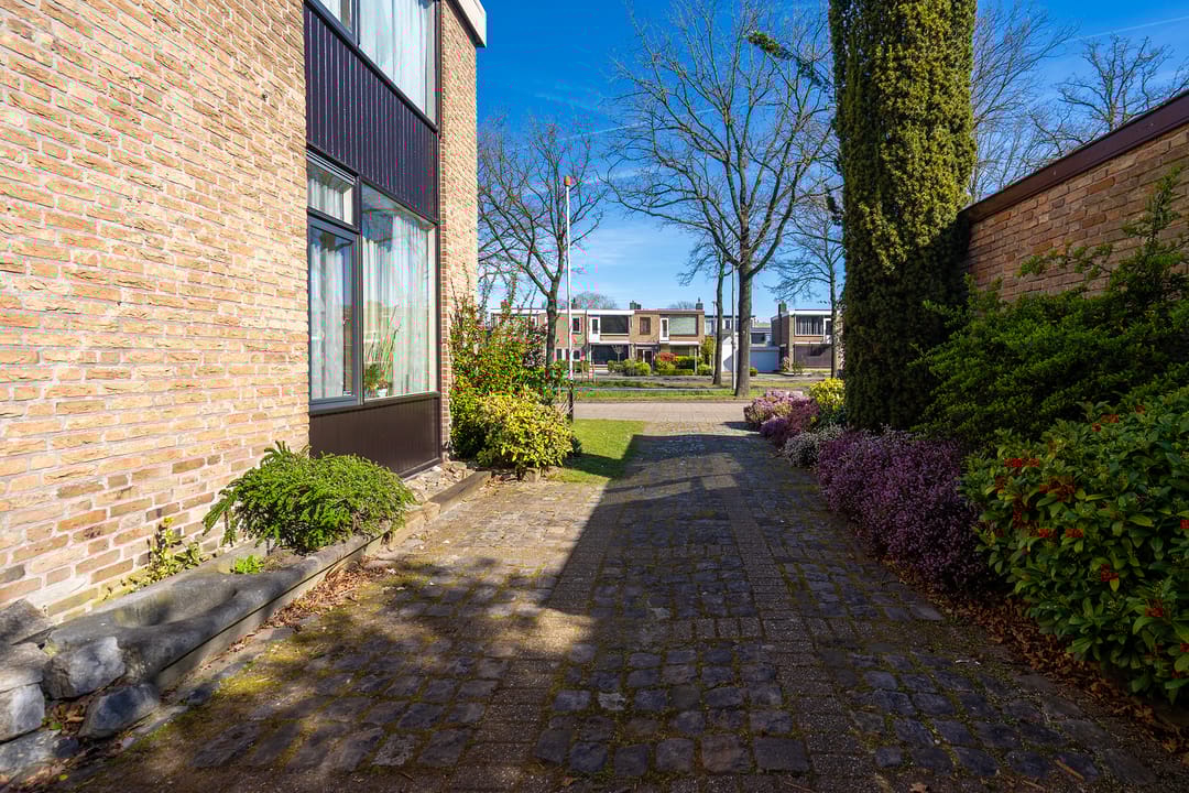 Foto 13 van Wandelboslaan 84