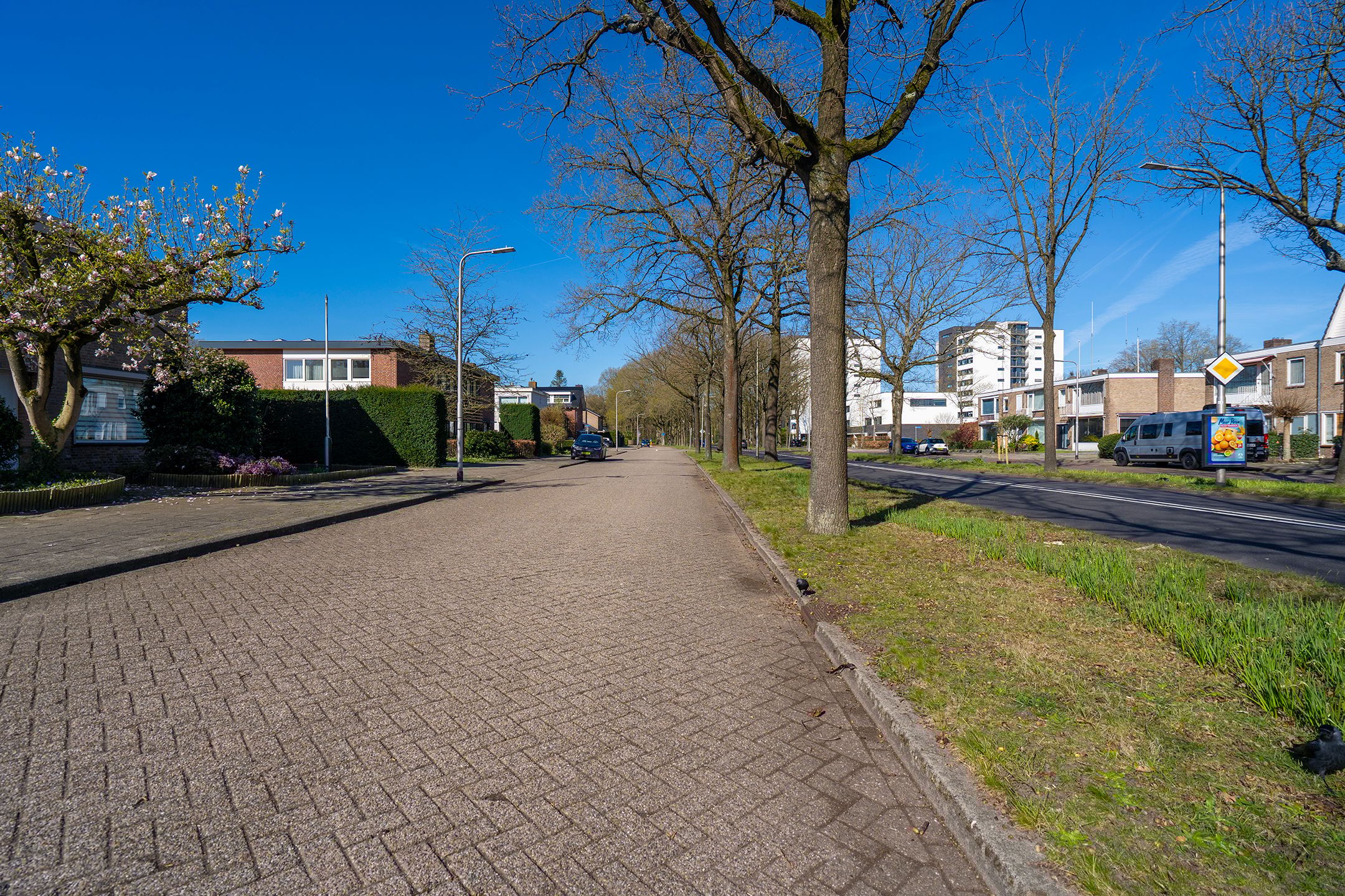 Foto 75 van Wandelboslaan 84