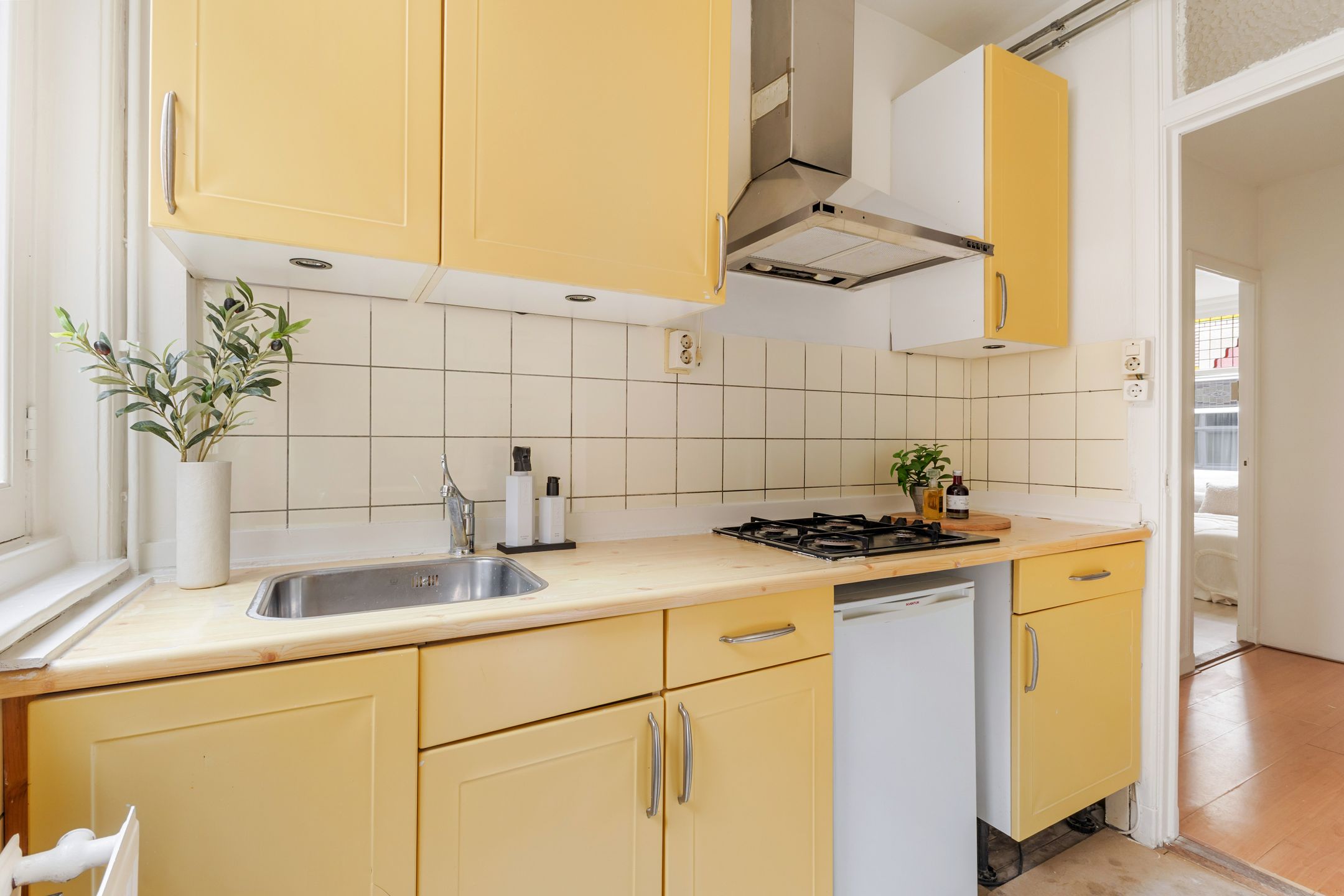 Foto 9 van Tweede Goudsbloemdwarsstraat 17-1